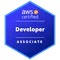 AWS Certified Developer – Associate